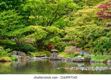 Peaceful Japanese Garden, Including A Pond And Garden Pagoda, On A Wet Spring Day
