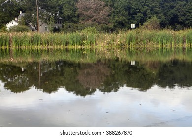 The Peaceful Jordan Creek In Pennsylvania