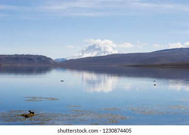 Peaceful Chungará Lake