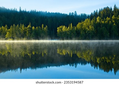 A peaceful lake nestled in a vibrant green forest enveloped in a misty fog, creating an idyllic atmosphere