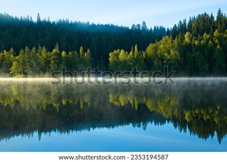 A peaceful lake nestled in a vibrant green forest enveloped in a misty fog, creating an idyllic atmosphere
