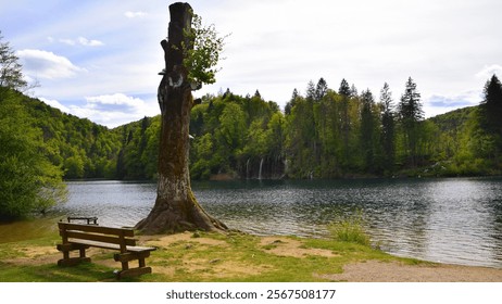 Peaceful Lakeside Bench and Tree
A serene lakeside scene with a weathered bench and a tall tree stump, surrounded by lush greenery and calm waters - Powered by Shutterstock