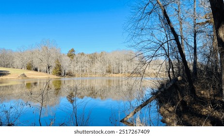 A peaceful lakeside scene with bare trees reflecting on calm water under a cloudless blue sky. The natural landscape creates a tranquil moment of winter beauty.

 - Powered by Shutterstock