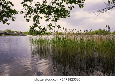 A peaceful lakeside view featuring tall reeds and charming houses along the shore, under a serene cloudy sky. Perfect depiction of nature's tranquility and lakeside living - Powered by Shutterstock