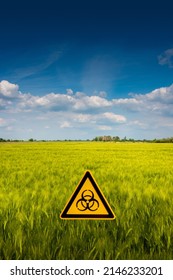 Peaceful Landscape With Blue Sky And Yellow Wheat Field Marked With A Sign Of Nuclear War Radiation Threat With Copy Space Background. Concept War In Ukraine, Potential Nuclear World War