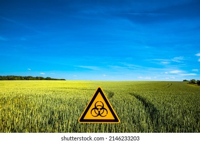 Peaceful Landscape With Blue Sky And Yellow Wheat Field Marked With A Sign Of Nuclear War Radiation Threat With Copy Space Background. Concept War In Ukraine, Potential Nuclear World War