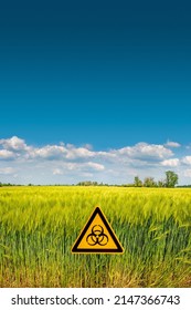 Peaceful Landscape With Blue Sky And Yellow Wheat Field Marked With A Sign Of Nuclear War Radiation Threat With Copy Space Background. Concept War In Ukraine, Potential Nuclear World War