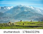 Peaceful landscape of Golan Heights: view of snow-capped Mount Hermon on a border with Syria and Lebanon - Israel