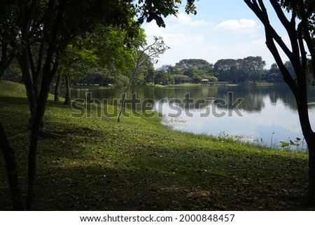  Peaceful man made lake in the park on a hot summer day                              