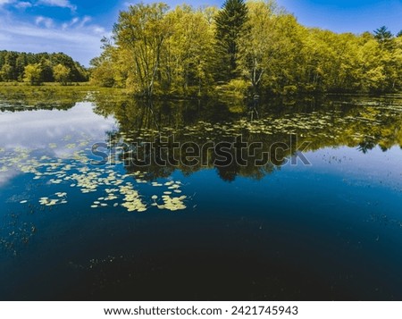 Peaceful Marsh with a blue sky