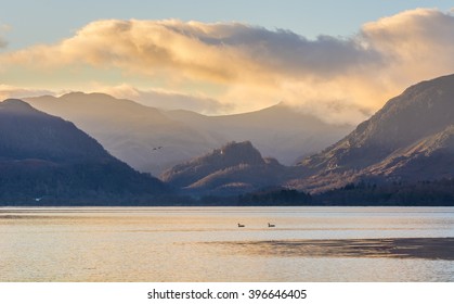 Peaceful Morning At Derwentwater In The Lake District With Two Ducks Swimming In Lake.