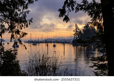 Peaceful morning light illuminates sailboats and calm waters at a marina in Sidney. Framed by silhouetted trees, this picturesque scene captures the tranquility and beauty of Vancouver Island. - Powered by Shutterstock