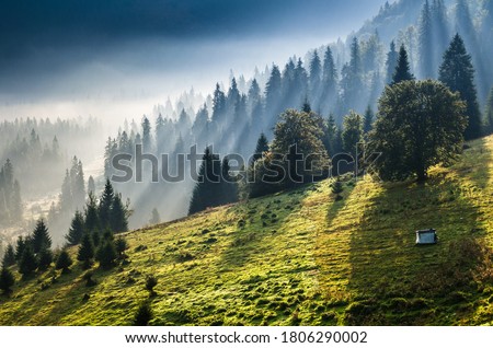 Peaceful morning in the mountain with forest and fog in background. Morning rays and fog above a village in mountains.
