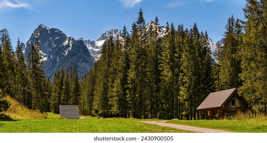 Peaceful morning scene of mountain valley with wooden cabin and spruce forest in High Tatras National Park, Slovakia, Europe. Beauty of nature concept background. Slovakia, Europe. Beauty world. - Powered by Shutterstock