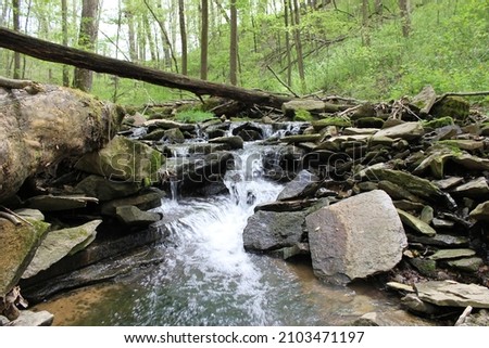 Peaceful natural stream in spring forest with small waterfalls and large rocks
