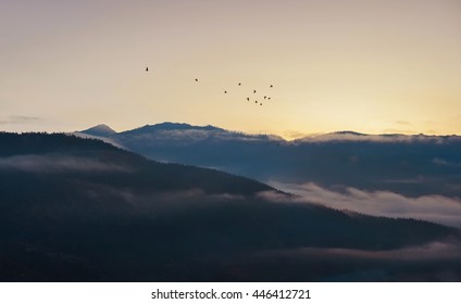 Peaceful Nature Before Sunrise