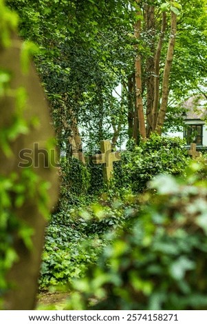 Peaceful and overgrown cemetery with a prominent weathered cross surrounded by greenery. High Gate Cemetery, London, provides a tranquil environment with natural beauty and historic significance.