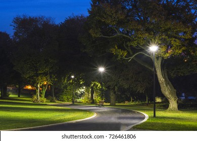 Peaceful Park In The Night With Street Lights, Trees, Green Grass And Pathway. 