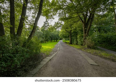 A peaceful park path winds through lush greenery, flanked by tall trees on both sides. Sunlight filters through the leaves, casting a serene glow on the grass. - Powered by Shutterstock