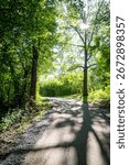 A peaceful paved path winds through a sun-dappled forest in Waukesha County, Wisconsin, on a September morning.