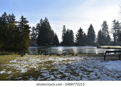 Peaceful pond in a park in winter - Powered by Shutterstock