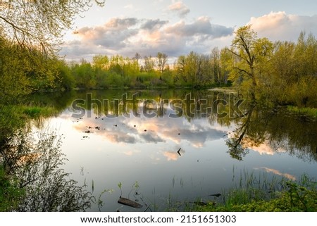 Peaceful pond at sunset in the idyllic Snoqualmie Valley near Seattle in the Pacific Northwest with the trees and clouds reflecting in the calm water