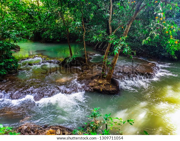 Peaceful Relaxing Landscape Background Tropical Forest Stock Photo Edit Now