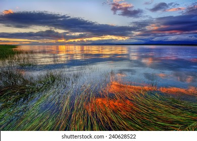 Peaceful river sunset with long grass submerged in water