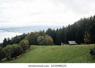 A peaceful rural landscape featuring lush green hills with deer, a dense forest, and a lake. The overcast sky adds a calm ambiance to the rolling countryside, ideal for showcasing the beauty of nature - Powered by Shutterstock