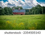 Peaceful scene of a red barn in a field surrounded by trees in Greensboro, Vermont, United States. Photo taken in August 2023.