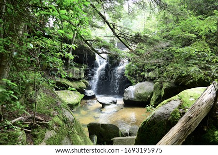 A peaceful, secluded brook flows between  moss covered rocks in the sandstone gorge of Dismals Canyon, Alabama, a designated World Heritage site since 1974