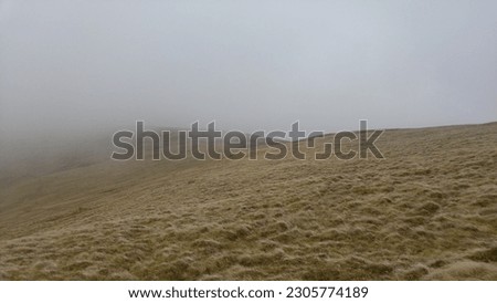 Peaceful and serene, this pristine grassland landscape is bathed in a misty fog. A tranquil horizon stretches out beneath an expansive sky, filled with beauty of nature all around.