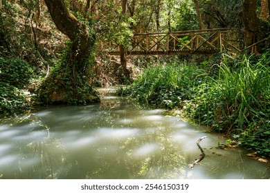 A peaceful stream flows under a rustic wooden bridge surrounded by lush greenery in Peristerias Gorge, Greece, creating a serene natural scene. - Powered by Shutterstock