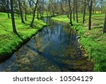 Peaceful stream in the springtime