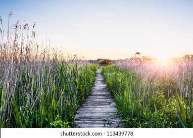 Peaceful sunset with a wooden walkway