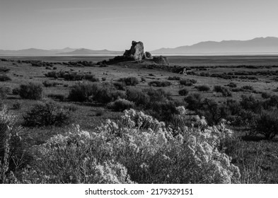 Peaceful Tranquil Landscape And Nature Near The Great Salt Lake In Northern Utah, USA. Black And White Photo. 