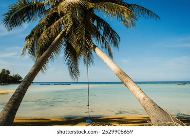 Peaceful tropical beach with clear blue water, rocks, and soft white sand. Tranquil coastal scene. palm tree - Powered by Shutterstock