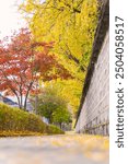 A peaceful walkway in Jeonju Hanok Village, adorned with a traditional Korean stone wall and vibrant autumn leaves in yellow and red, exudes cultural charm.