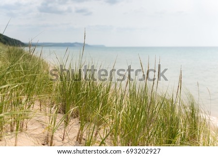 Peaceful warm beach scene with dreamy landscape and waves on the lake.  Copyspace room for text.