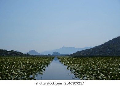 A peaceful water channel lined with green water lilies, surrounded by distant hills and mountains under a clear blue sky - Powered by Shutterstock