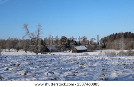 Similar – Image, Stock Photo When the frost touches Berlin