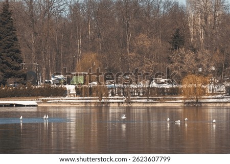 A peaceful winter view of a lake surrounded by bare trees and colorful shrubs. Several birds swim on the calm water while others rest on the ice, enjoying the sunny afternoon
