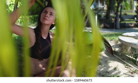 Peaceful Woman Enjoying Exotic Thailand Seaside. Beautiful Caucasian Girl In Bikini Sitting Under Coconut Palm, Reaching Frond. Koh Phangan Tropical Island Coastline.