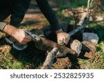 In a peaceful woodland, a man is seen manually sawing wood for fire preparation. Equipped with outdoor gear, he works with focus in the quiet wilderness.