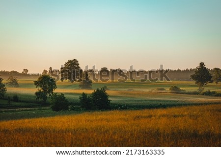 Peacful countryside view during sunset time in summer, mist over the field, summer sky