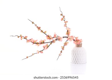 Peach Apricot blossom flower tree vase pot traditional vietnamese Tet New year decoration on a white. Lucky charm decoration of cherry flower branch bonsai for wishing lucky on lunar Chinese new year