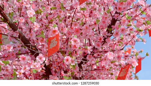 Peach blossom with red packet words means luck