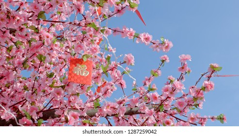 Peach blossom with red packet words means luck