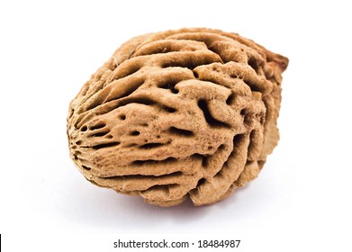 Peach Pit High Res Stock Images Shutterstock
