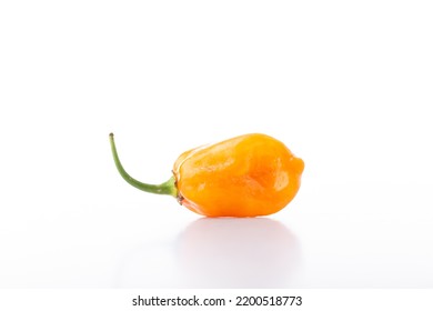 Peach Habanero Pepper Chili - White Background